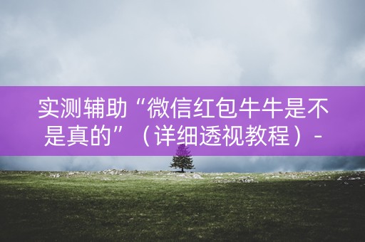 实测辅助“微信红包牛牛是不是真的”（详细透视教程）-哔哩哔哩
