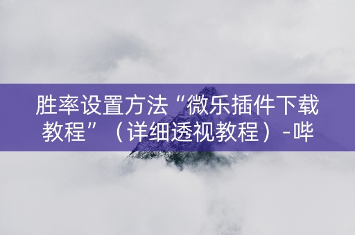 胜率设置方法“微乐插件下载教程”（详细透视教程）-哔哩哔哩