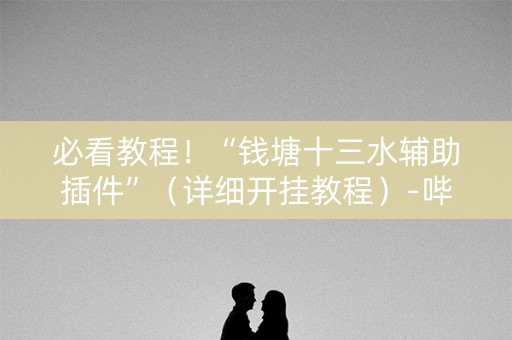 必看教程！“钱塘十三水辅助插件”（详细开挂教程）-哔哩哔哩