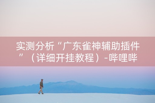 实测分析“广东雀神辅助插件”（详细开挂教程）-哔哩哔哩