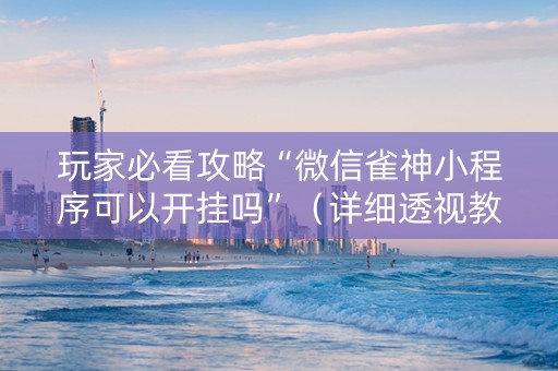 玩家必看攻略“微信雀神小程序可以开挂吗”（详细透视教程）-哔哩哔哩