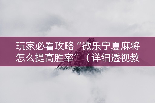 玩家必看攻略“微乐宁夏麻将怎么提高胜率”（详细透视教程）-哔哩哔哩