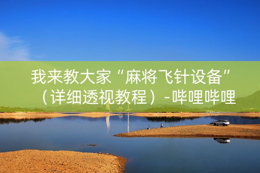 我来教大家“麻将飞针设备”（详细透视教程）-哔哩哔哩