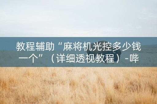 教程辅助“麻将机光控多少钱一个”（详细透视教程）-哔哩哔哩
