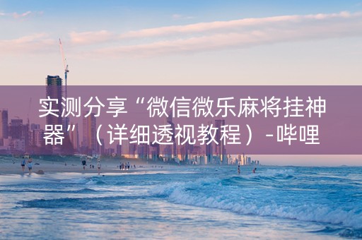 实测分享“微信微乐麻将挂神器”（详细透视教程）-哔哩哔哩