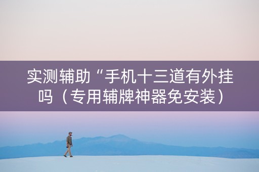 实测辅助“手机十三道有外挂吗（专用辅牌神器免安装）