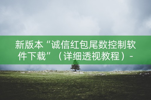 新版本“诚信红包尾数控制软件下载”（详细透视教程）-哔哩哔哩