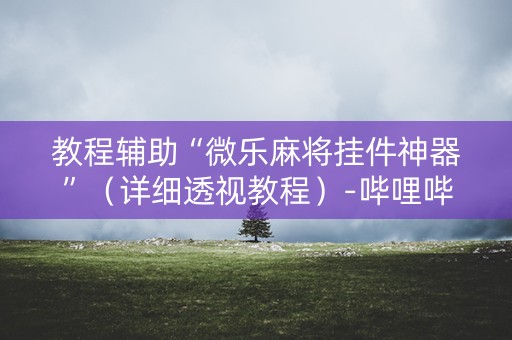 教程辅助“微乐麻将挂件神器”（详细透视教程）-哔哩哔哩