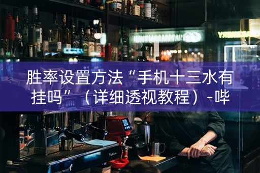 胜率设置方法“手机十三水有挂吗”（详细透视教程）-哔哩哔哩