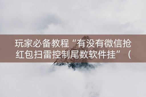 玩家必备教程“有没有微信抢红包扫雷控制尾数软件挂”（详细透视教程）-哔哩哔哩