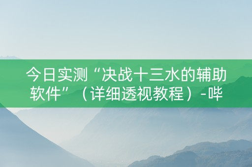 今日实测“决战十三水的辅助软件”（详细透视教程）-哔哩哔哩