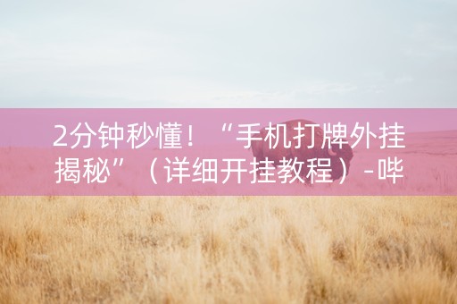 2分钟秒懂！“手机打牌外挂揭秘”（详细开挂教程）-哔哩哔哩
