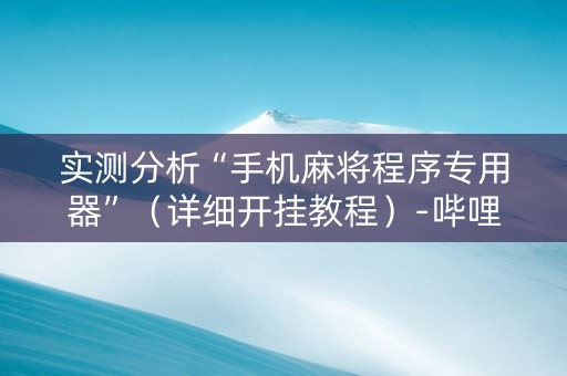 实测分析“手机麻将程序专用器”（详细开挂教程）-哔哩哔哩