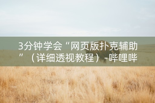 3分钟学会“网页版扑克辅助”（详细透视教程）-哔哩哔哩