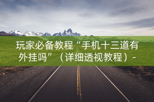 玩家必备教程“手机十三道有外挂吗”（详细透视教程）-哔哩哔哩