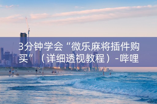 3分钟学会“微乐麻将插件购买”（详细透视教程）-哔哩哔哩