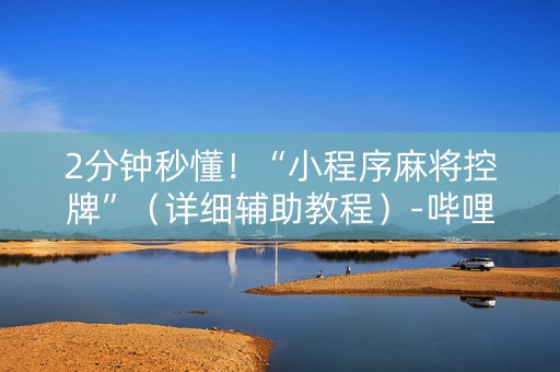 2分钟秒懂！“小程序麻将控牌”（详细辅助教程）-哔哩哔哩