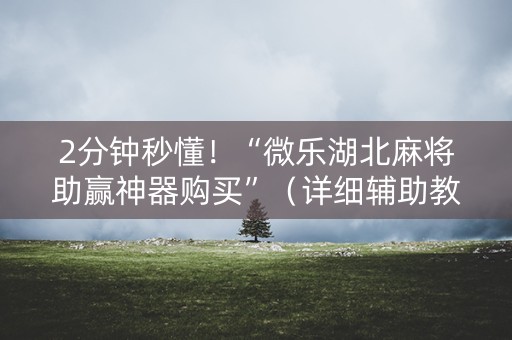 2分钟秒懂！“微乐湖北麻将助赢神器购买”（详细辅助教程）-哔哩哔哩