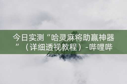 今日实测“哈灵麻将助赢神器”（详细透视教程）-哔哩哔哩