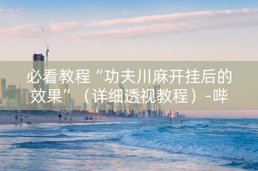 必看教程“功夫川麻开挂后的效果”（详细透视教程）-哔哩哔哩