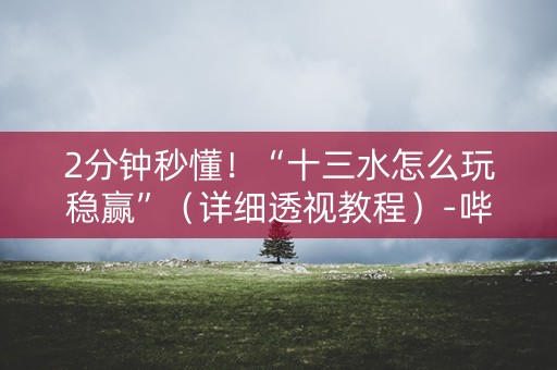 2分钟秒懂！“十三水怎么玩稳赢”（详细透视教程）-哔哩哔哩