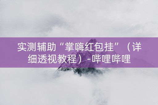 实测辅助“掌嗨红包挂”（详细透视教程）-哔哩哔哩