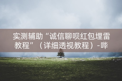 实测辅助“诚信聊呗红包埋雷教程”（详细透视教程）-哔哩哔哩