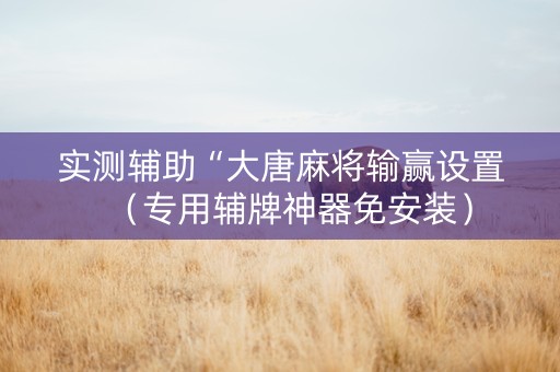实测辅助“大唐麻将输赢设置（专用辅牌神器免安装）