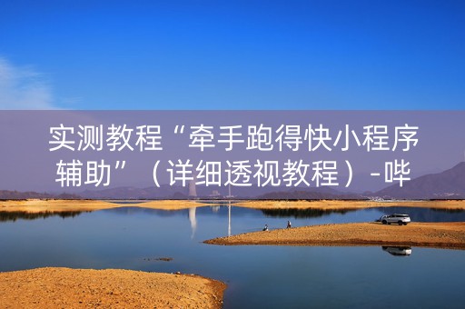 实测教程“牵手跑得快小程序辅助”（详细透视教程）-哔哩哔哩