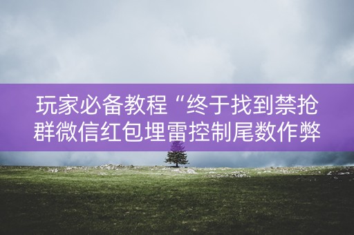 玩家必备教程“终于找到禁抢群微信红包埋雷控制尾数作弊挂方法”（详细透视教程）-哔哩哔哩