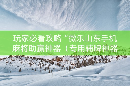 玩家必看攻略“微乐山东手机麻将助赢神器（专用辅牌神器免安装）