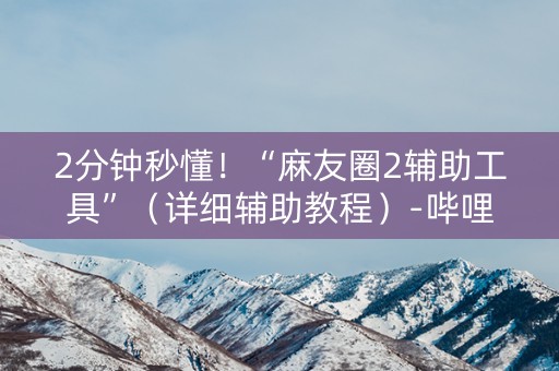 2分钟秒懂！“麻友圈2辅助工具”（详细辅助教程）-哔哩哔哩