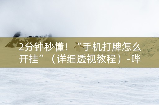 2分钟秒懂！“手机打牌怎么开挂”（详细透视教程）-哔哩哔哩