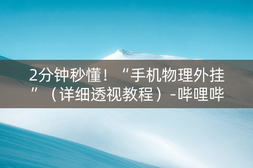 2分钟秒懂！“手机物理外挂”（详细透视教程）-哔哩哔哩