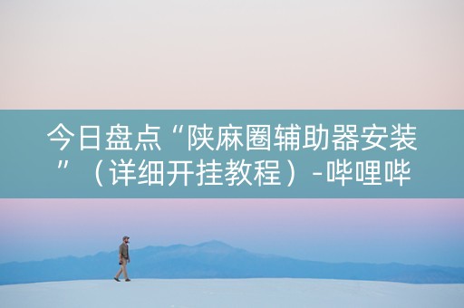 今日盘点“陕麻圈辅助器安装”（详细开挂教程）-哔哩哔哩