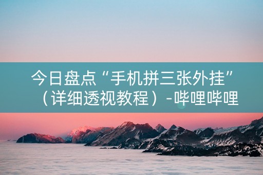 今日盘点“手机拼三张外挂”（详细透视教程）-哔哩哔哩