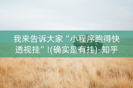 我来告诉大家“小程序跑得快透视挂”!(确实是有挂)-知乎