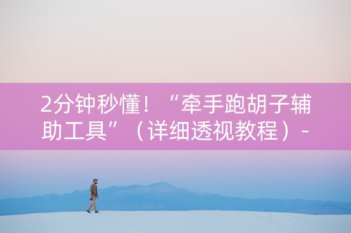 2分钟秒懂！“牵手跑胡子辅助工具”（详细透视教程）-哔哩哔哩