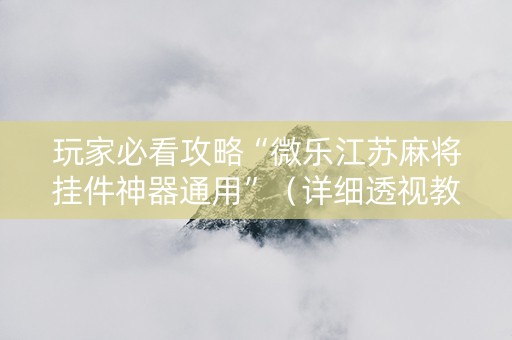 玩家必看攻略“微乐江苏麻将挂件神器通用”（详细透视教程）-哔哩哔哩
