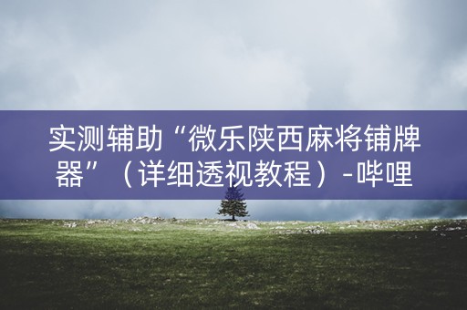 实测辅助“微乐陕西麻将铺牌器”（详细透视教程）-哔哩哔哩