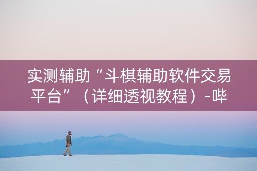 实测辅助“斗棋辅助软件交易平台”（详细透视教程）-哔哩哔哩