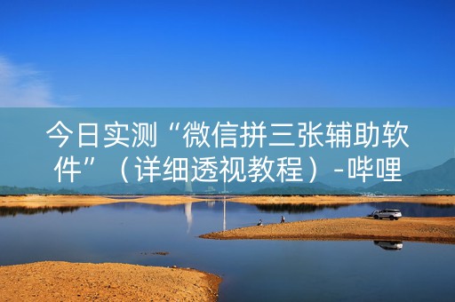 今日实测“微信拼三张辅助软件”（详细透视教程）-哔哩哔哩