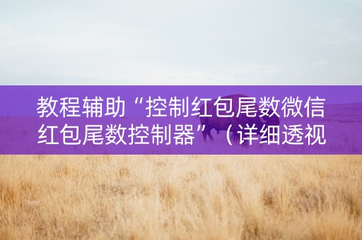 教程辅助“控制红包尾数微信红包尾数控制器”（详细透视教程）-哔哩哔哩