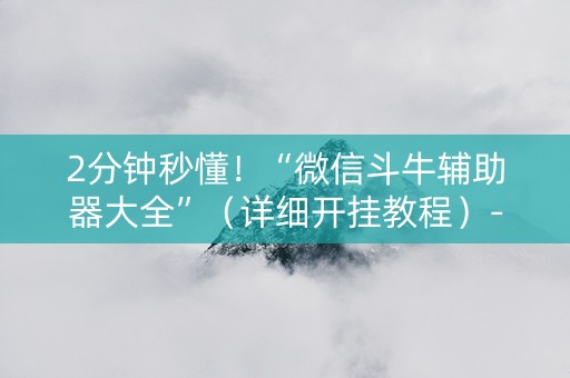 2分钟秒懂！“微信斗牛辅助器大全”（详细开挂教程）-哔哩哔哩
