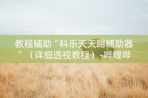教程辅助“科乐天天踢辅助器”（详细透视教程）-哔哩哔哩