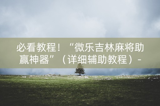 必看教程！“微乐吉林麻将助赢神器”（详细辅助教程）-哔哩哔哩