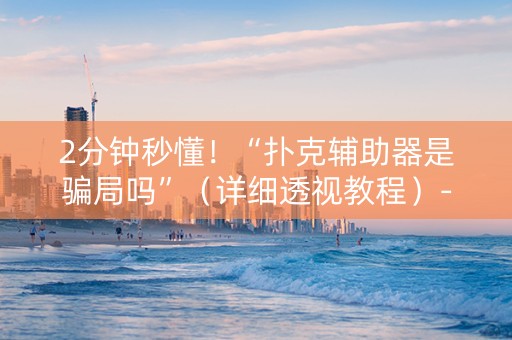 2分钟秒懂！“扑克辅助器是骗局吗”（详细透视教程）-哔哩哔哩