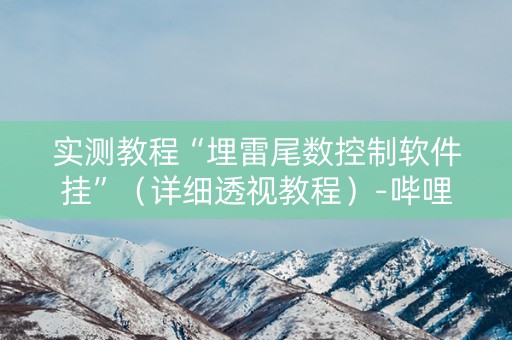 实测教程“埋雷尾数控制软件挂”（详细透视教程）-哔哩哔哩