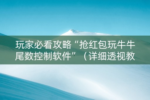 玩家必看攻略“抢红包玩牛牛尾数控制软件”（详细透视教程）-哔哩哔哩