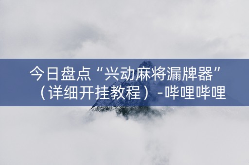 今日盘点“兴动麻将漏牌器”（详细开挂教程）-哔哩哔哩